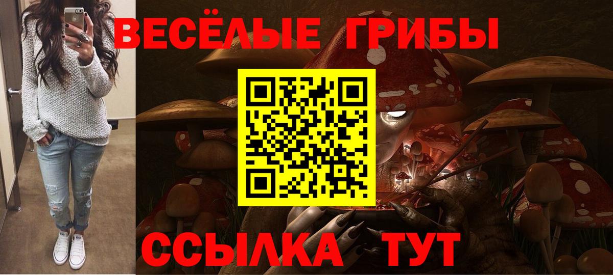 Псилоцибиновые грибы MAGIC MUSHROOMS Северобайкальск